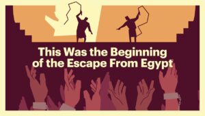 These Two Hebrew Words Both Mean “Outcry” - Bible Study, Movies & TV - BibleProject