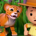 Witness21 Editor  2025 05 24