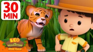 Witness21 Editor  2025 05 24