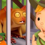 Witness21 Editor  2025 05 31