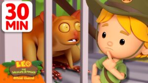 Witness21 Editor  2025 05 31