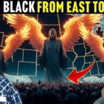 Witness21  2025 05 28