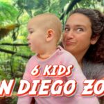 Woman with curly hair holding a baby in a pink sweater; lush jungle backdrop with an orangutan visible, and large red-and-white text '6 KIDS SAN DIEGO ZOO!' overlaid