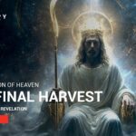 Witness21 Editor  2025 06 27