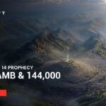 Witness21 Editor  2025 06 15