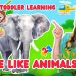 Witness21  2025 06 02