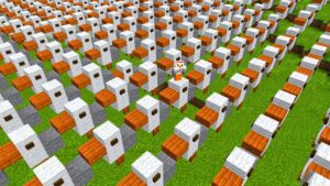 Building Thousands of Seagulls… (help) (server IP in description) - Gameplay, Kingdom Kids Zone, Minecraft - CringyGull