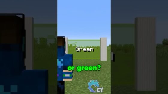 Minecraft, But I Can’t Look at Colors… - Gameplay, Kingdom Kids Zone, Minecraft - EYstreem