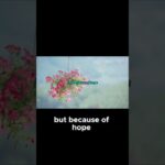 Witness21  2025 07 09