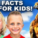 Meet a Real GOLDEN EAGLE! ๐ฆ
Wildlife Rescue Presentation Highlights for Kids & Families | Bird Video - Kingdom Kids Zone, Little Learners - Happy Hubbardโs - Educational Videos for Kids