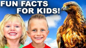 Meet a Real GOLDEN EAGLE! 🦅 Wildlife Rescue Presentation Highlights for Kids & Families | Bird Video - Kingdom Kids Zone, Little Learners - Happy Hubbard’s - Educational Videos for Kids