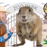 Man in a cowboy hat and vest points at a large rodent at a zoo entrance with a gate and playful animal drawings around the scene (snake and scorpion).