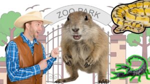 Man in a cowboy hat and vest points at a large rodent at a zoo entrance with a gate and playful animal drawings around the scene (snake and scorpion).