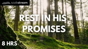 Play These Bible Verses All Night (SEE WHAT GOD DOES!) - Hope & Healing, Meditations - SOAKSTREAM - Healing Scriptures