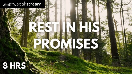 Play These Bible Verses All Night (SEE WHAT GOD DOES!) - Hope & Healing, Meditations - SOAKSTREAM - Healing Scriptures