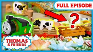 Percy and the Missing Cows 🐄 | Watch Out, Thomas! | Thomas & Friends UK | FULL EPISODE - Kids TV Series, Kingdom Kids Zone - Thomas & Friends