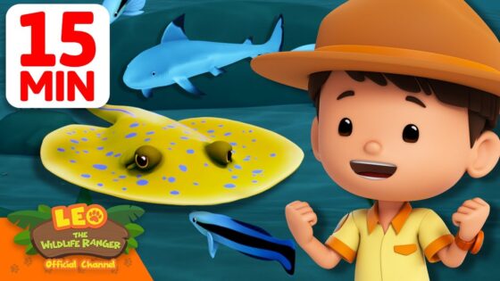 Help the Stingray Escape from the SHARK! | 15 Min | Leo the Wildlife Ranger | Kids Cartoons - Kids TV Series, Kingdom Kids Zone - Leo the Wildlife Ranger - Official Channel