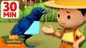 EARLY BIRD CATCHES THE WORM! 🐦🪱 | 30 Min | Leo the Wildlife Ranger | Kids Cartoons - Kids TV Series, Kingdom Kids Zone - Leo the Wildlife Ranger - Official Channel