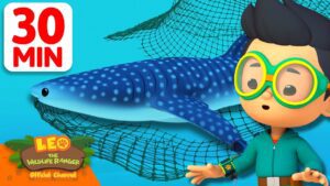 HELP THE WHALE SHARK ESCAPE THE NET! 🥅 | 30 Min | Leo the Wildlife Ranger | Kids Cartoons - Kids TV Series, Kingdom Kids Zone - Leo the Wildlife Ranger - Official Channel