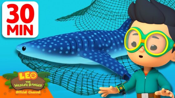 HELP THE WHALE SHARK ESCAPE THE NET! 🥅 | 30 Min | Leo the Wildlife Ranger | Kids Cartoons - Kids TV Series, Kingdom Kids Zone - Leo the Wildlife Ranger - Official Channel