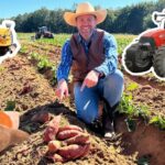 Farmer kneeling in a sweet potato field, pointing to freshly dug orange potatoes beside furrows with tractors in the background.