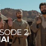 Witness21  2025 10 01