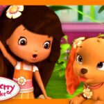 Puppy Fetch! 🍊 Strawberry Shortcake 🍊 Orange Blossom Compilation 🍊 Full Episodes - Kids TV Series, Kingdom Kids Zone - Strawberry Shortcake - WildBrain