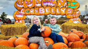 🌽 Fall Family Fun at Cornbelly’s! 🚜 Learn Through Play in the Corn Pit, Cornfield & Food Fest! 🍩 - Kingdom Kids Zone, Little Learners - Happy Hubbard’s - Educational Videos for Kids