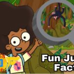 Planes, Facts and Fun in the Rainforest for Kids | Amazon Fun | Let's Go See - Kingdom Kids Zone, Little Learners - Let's Go See