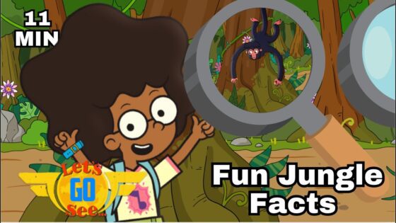 Planes, Facts and Fun in the Rainforest for Kids | Amazon Fun | Let's Go See - Kingdom Kids Zone, Little Learners - Let's Go See