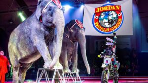🎪 4K Circus Show 2025 | Jordan World Circus. Utah, Full Circus Show. 🐘 - Kingdom Kids Zone, Little Learners - Happy Hubbard’s - Educational Videos for Kids