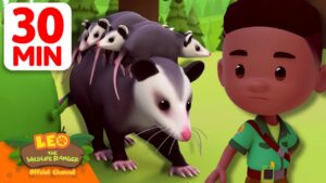 Opossum Family Rescue Mission! ⛑️🐀 | 30 Min | Leo the Wildlife Ranger | Kids Cartoon - Kids TV Series, Kingdom Kids Zone - Leo the Wildlife Ranger - Official Channel