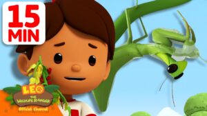 IS THAT A LEAF OR A PRAYING MANTIS? 🙏 | 15 Min | Leo the Wildlife Ranger | Kids Cartoons - Kids TV Series, Kingdom Kids Zone - Leo the Wildlife Ranger - Official Channel