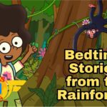 💡Discover the Secret World of the RAINFOREST 🌳 After Sunset 🌅 | Bedtime | Relax - Kingdom Kids Zone, Little Learners - Let's Go See