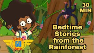 💡Discover the Secret World of the RAINFOREST 🌳 After Sunset 🌅 | Bedtime | Relax - Kingdom Kids Zone, Little Learners - Let's Go See