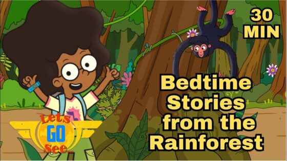 💡Discover the Secret World of the RAINFOREST 🌳 After Sunset 🌅 | Bedtime | Relax - Kingdom Kids Zone, Little Learners - Let's Go See