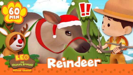 IS THAT RUDOLPH THE REINDEER? 🎅🏻🦌 | Christmas Specials | Leo the Wildlife Ranger | Kids Cartoons - Kids TV Series, Kingdom Kids Zone - Leo the Wildlife Ranger - Official Channel