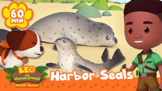 Rescue Seals, Dolphins and more! Pacific Ocean Animals | Leo the Wildlife Ranger | Kids Cartoons - Kids TV Series, Kingdom Kids Zone - Leo the Wildlife Ranger - Official Channel
