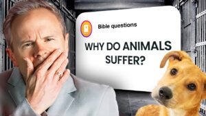 Why Does God Allow Animals to Suffer? - Suffering & Evil, Truth Seekers - Sean McDowell
