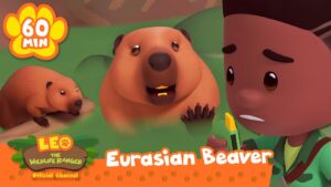 REBUILDING THE DAM! | Beavers, Otters & More River Animals | Leo the Wildlife Ranger | Kids Cartoons - Kids TV Series, Kingdom Kids Zone - Leo the Wildlife Ranger - Official Channel