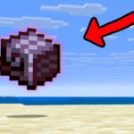 How Fast can I Get Netherite Nautilus Armour?! - Gameplay, Kingdom Kids Zone, Minecraft - CringyGull