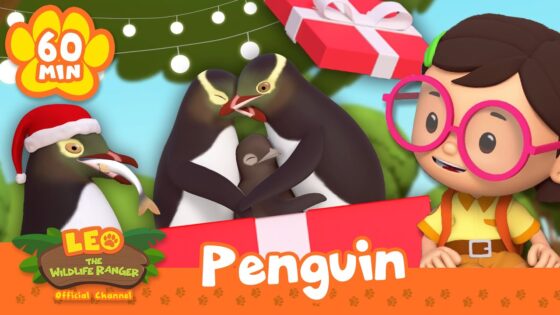 SANTA'S WILD HELPERS! 🎅🏻🐧 | Leo's Christmas Special | Leo the Wildlife Ranger | Kids Cartoons - Kids TV Series, Kingdom Kids Zone - Leo the Wildlife Ranger - Official Channel