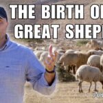Where Was Jesus Really Born? - Documentaries, Movies & TV - Appian Media