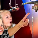 🎪 Front Row at a Real Circus! Wild Tricks, Flips, Acrobatics & More At Venardos Circus 🤯 - Kingdom Kids Zone, Little Learners - Happy Hubbard’s - Educational Videos for Kids