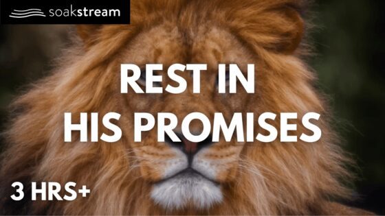 Play These Bible Verses All Night (SEE WHAT GOD DOES!) - Hope & Healing, Meditations - SOAKSTREAM - Healing Scriptures