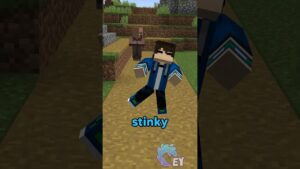 Minecraft, But You Change My Voice… - Gameplay, Kingdom Kids Zone, Minecraft - EYstreem
