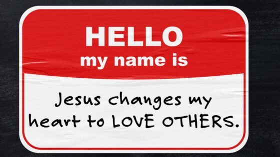 From Cheater to Generous | Zacchaeus Meets Jesus | Kids Bible Lesson - Kingdom Kids Zone, Shows - The LKIDS Show