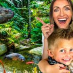 Explore Real Animals & Fish 🐍🐟 Educational Aquarium Visit with the Happy Hubbard’s in a Rainforest! - Kingdom Kids Zone, Little Learners - Happy Hubbard’s - Educational Videos for Kids