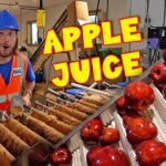 🍎Apple Cider Making 🍎 How Apple Juice is Made 🍎 Awesome Song - Kingdom Kids Zone, Sing With Me - Handyman Hal - Music for Kids