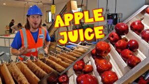πApple Cider Making π How Apple Juice is Made π Awesome Song - Kingdom Kids Zone, Sing With Me - Handyman Hal - Music for Kids